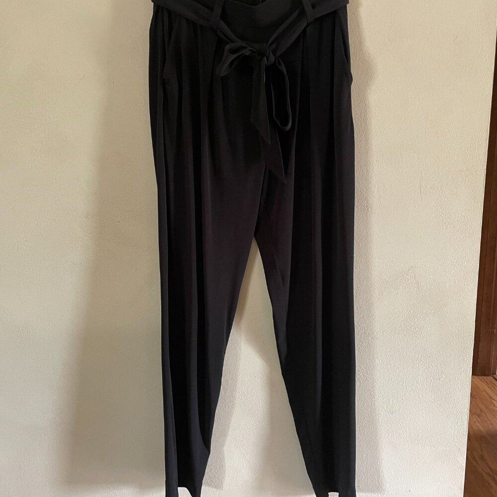 Express Dress Pants